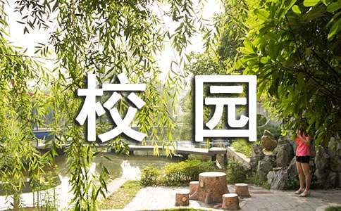 篮球训练内容文字描述_2